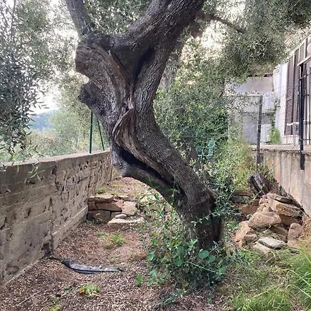 Apartment Case Giardino *